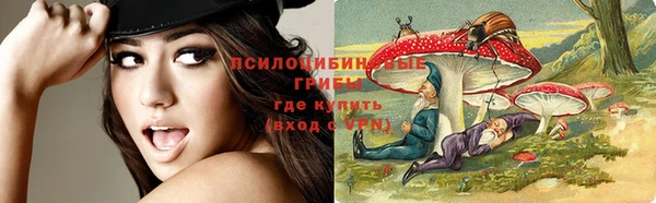 а пвп мука Белокуриха