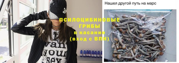 а пвп мука Белокуриха