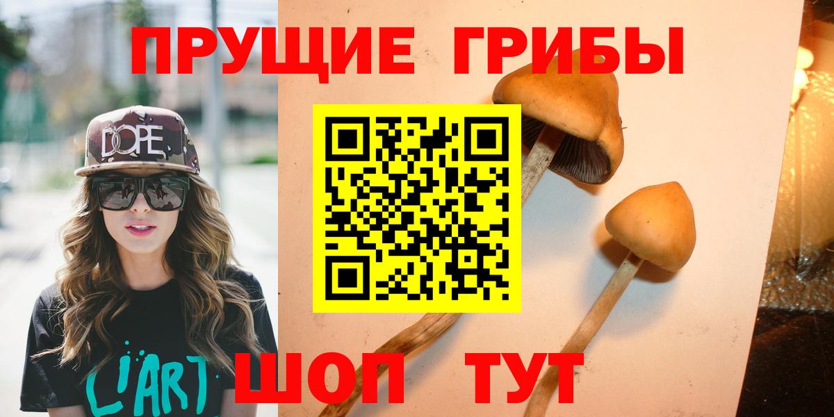 Псилоцибиновые грибы MAGIC MUSHROOMS  купить наркотики цена  Вход с VPN  Дальнегорск  Псилоцибиновые грибы Magic Shrooms 